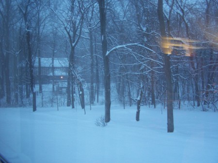 Out our back door this past winter's big snow