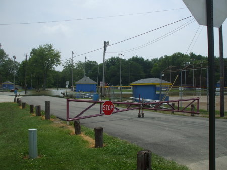 Janet Wesseler's album, Riley Park Flooding 2010