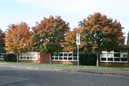 Roxanne Cummings' album, Sacajawea School