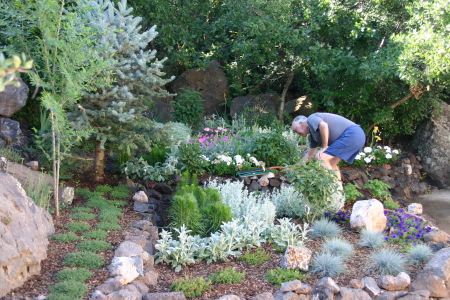 playing in the rock garden