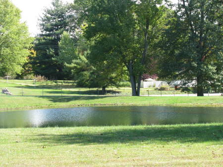 Close-up of the little pond.