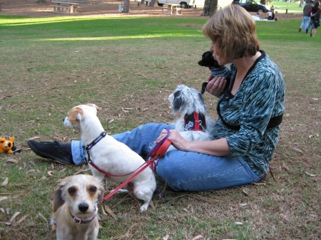 Doggy Play Date