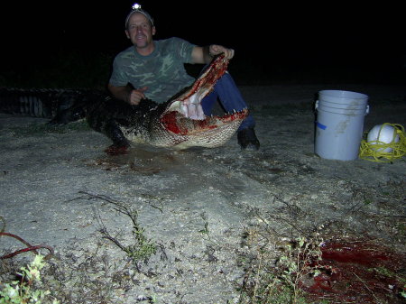 08 gator hunt