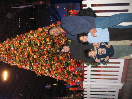 Christmas Dec. 2008 at navy Pier