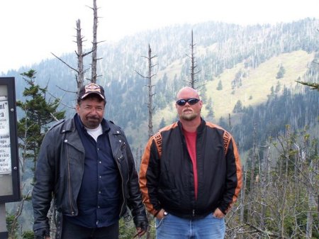 Clingmans Peak, Tn.