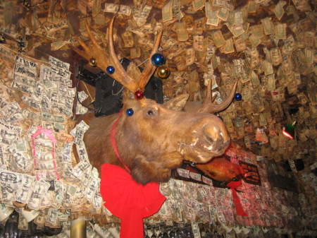 Moose Head at McGuires