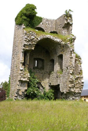 Mannion castle-Menlough,Ireland