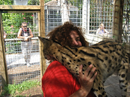 CAN I BRING MY AFRICAN SERVAL CAT/