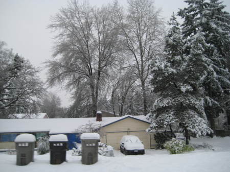 Ice trees