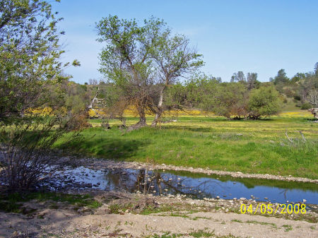 Meandering Creek