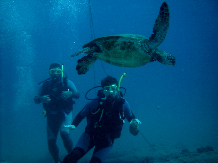 two students at ko-ko creators, Hawaii.