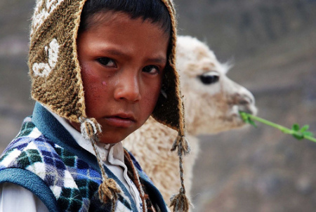 PERUVIAN BOY & LLAMA~