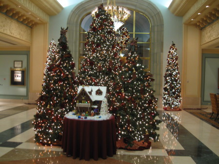 Trees at Vancouver Hotel