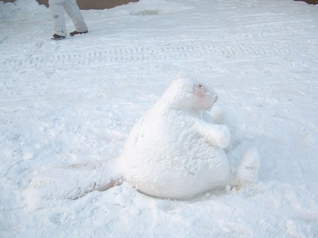 snow beaver, or frozen beaver