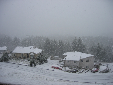 We got snow today! Feb 9, 2009