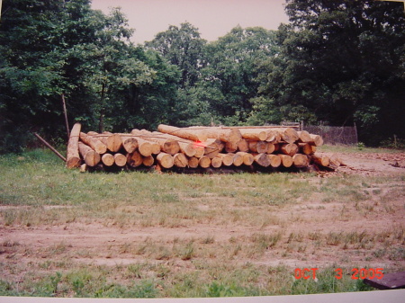 Stack logs