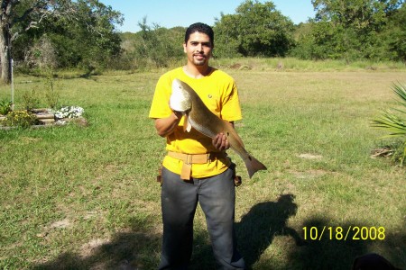 nice red fish 28''