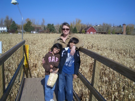 Corn maze bridge