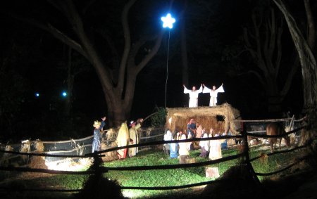 Live Nativity