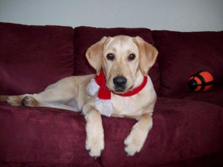 Elly's first Christmas(2007)