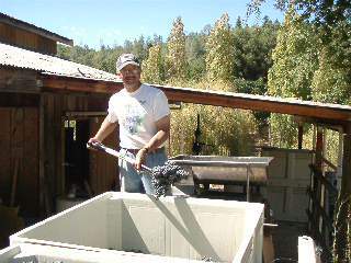 Lou Crushing Grapes Before Making Wine, 2006