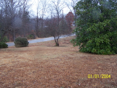 Front Yard (looking East)