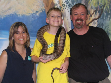 Australia - Black Headed Python