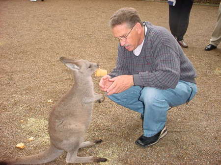 Feeding the Roo