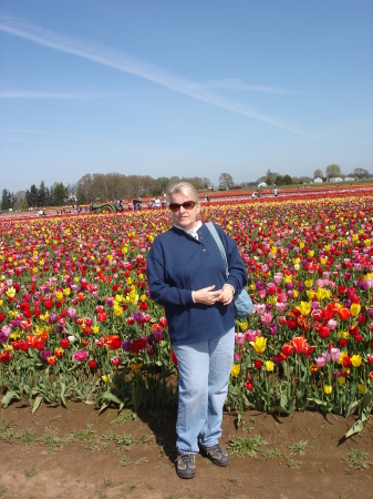 4/2010 local Tulip festival