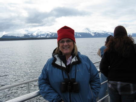 Alaska Whale watching