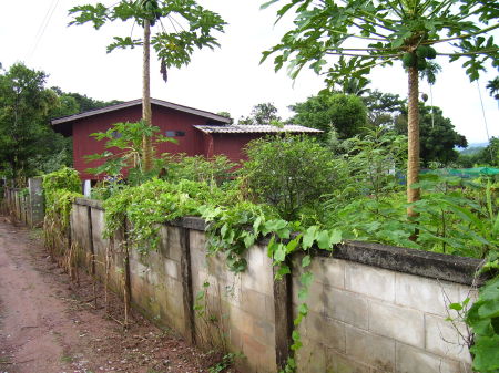 House in Thailand