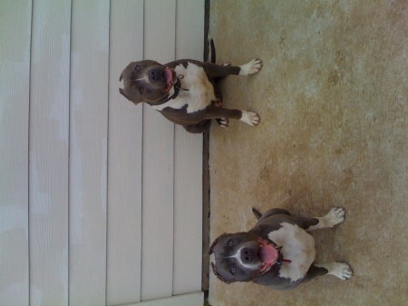 my security(Skyy & Smokey)