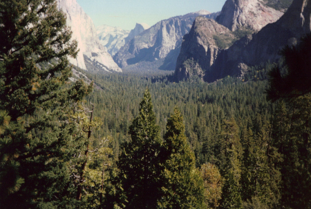 Yosemite Dream