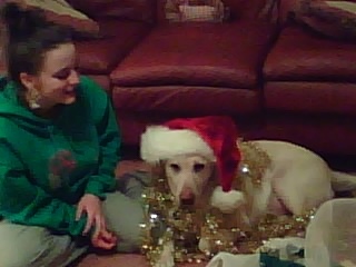 MichaelRose & Lexi, Christmas 2008