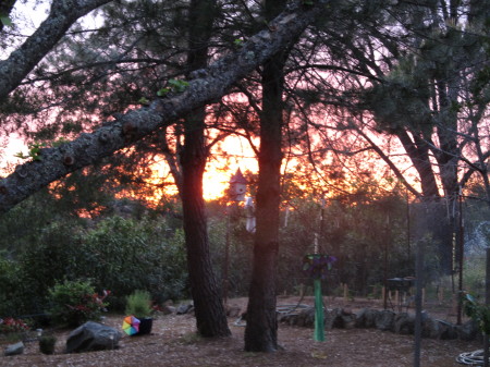 sunset looking off my porch