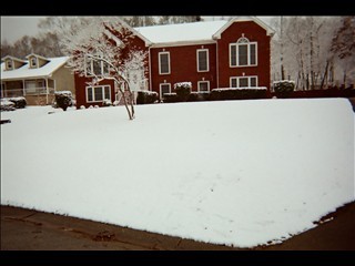 My House 2009