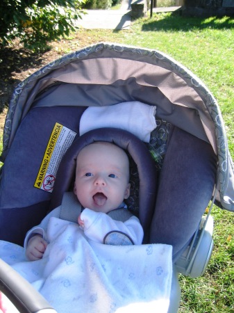 Soaking up a bit of sun at NY Botanical Garden