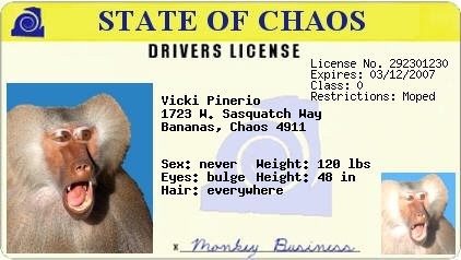 this is my new drivers license!!!