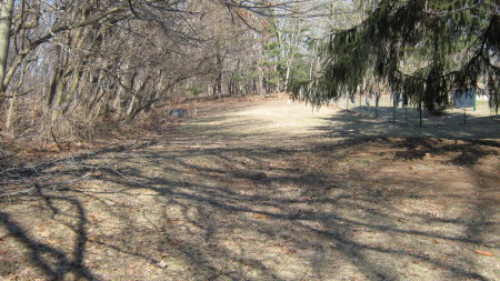 Our Land on the first warm day of 2009