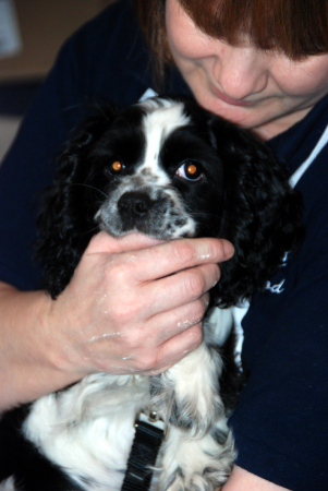 Wife Kathy and puppy Jack