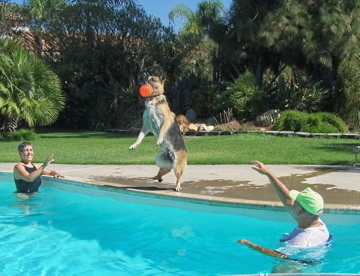 Playing ball with Kira in the pool.