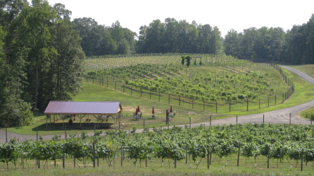 overlooking the vineyard and tasting room