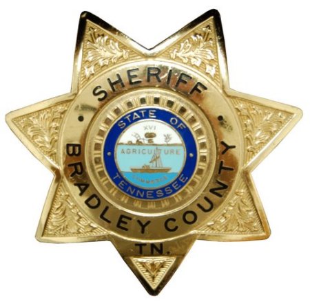 badge cutout copy