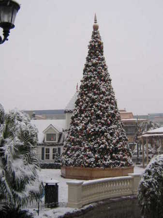 Christmas tree, Town Square