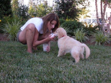 Phoebe and I playing tug a war over a sock