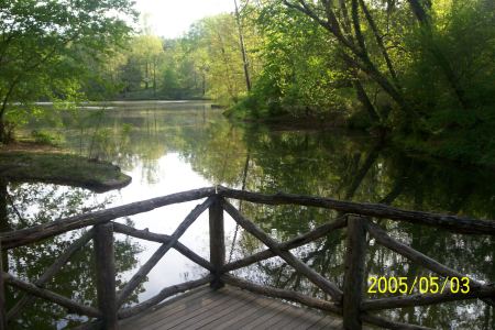 View of the Bass Pond from the boat house