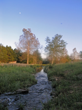 Romance Farms