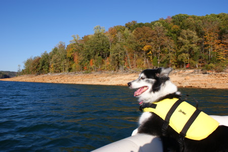 Molly on the boat