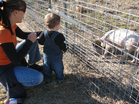 Kieran checking out the Animals