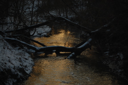 Dusk on the creek